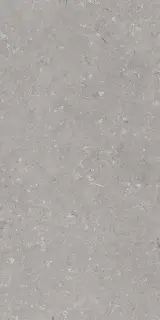 Shellstone Grigio 60x120