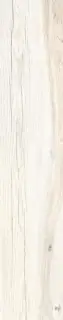 Daring Ivory |24x120