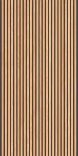Canne Honey Black 60x120