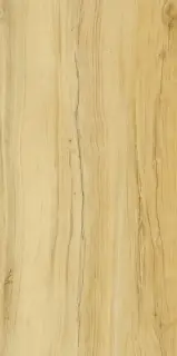 Alleya 2101 Медовый Структурированный 60x120