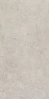 Monochrom 2061 Бежевый Матовый 60х120