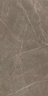 Гранит София Велюр MR матовый 60x120 XXZZ