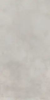 Миллениум Сильвер 60x120