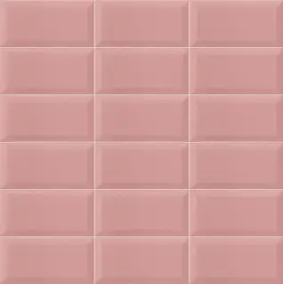 Bissel Pink 10x20