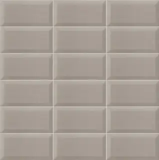 Bissel Pearl 10x20