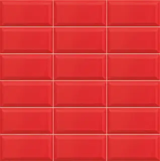 Bissel Rubi 10x20