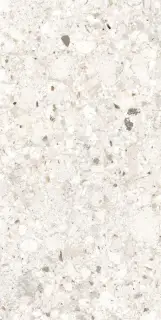 Бьянкоромано Слоновая Кость Матовый R10a 60x120
