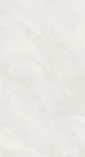 Слэйтстоун Белый Матовый R10b 60x120