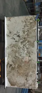 Patagonia Polished 120x280