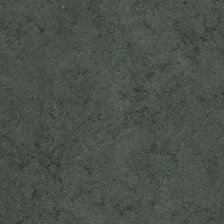 Форум Стоун Петрол 120x120