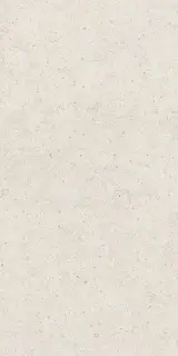 Форум Стоун Полар 60x120