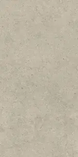 Форум Стоун Дезерт 60x120
