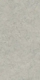 Форум Стоун Сильвер 60x120