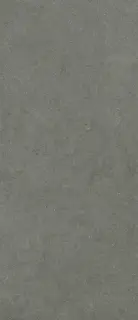 Форум Стоун Айрон 120x278