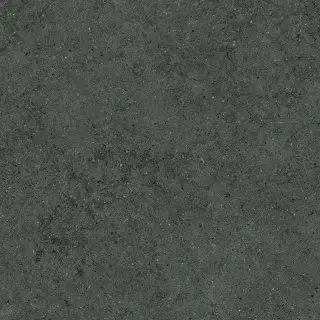 Форум Стоун Петрол 80x80