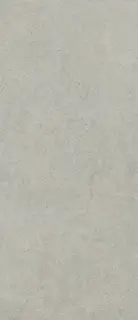Форум Стоун Сильвер 120x278