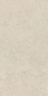 Форум Стоун Пьюр 60x120