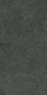 Форум Стоун Петрол 60x120