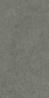 Форум Стоун Айрон 60x120