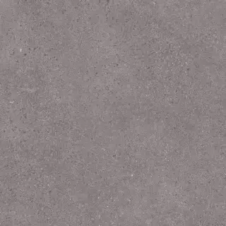 Northstone Grey 2 Cm 60x60