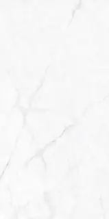 Calacatta Fantasy Polished 60x120