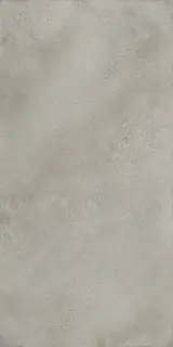 Монца Грэй 60x120