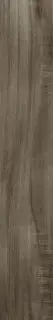 Karelia Cognac Matt Shape 20x120
