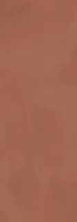 Calce Terracotta 3,5  XX 100x300