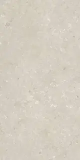 Shellstone Beige 60x120