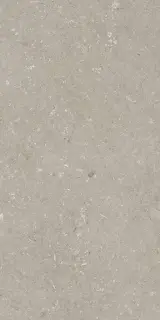 Shellstone Taupe 60x120
