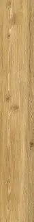 PERONDA VERBIER HONEY AS 24х151x0.9 BN-121