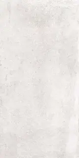 Houston светло-серая 60x120 ZZ
