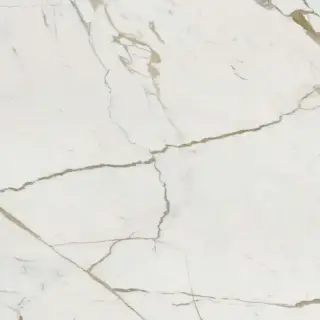 Vision Calacatta Oro   KL 120x120