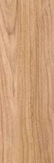 Siberia beige PG 01 20х60