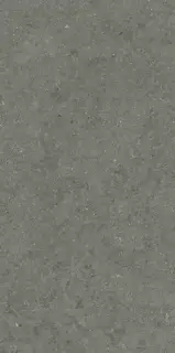 Italon Керамический гранит Forum Керамогранит Stone Iron 60x120 натуральный