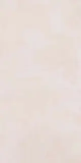 Paint Rose |60x120
