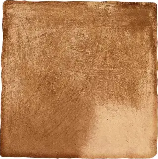 Cotto nat |50x50