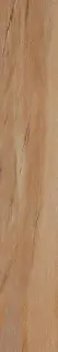 Leccio Classico KL 20x120