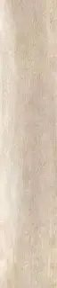 GreenWood Beige|24x120