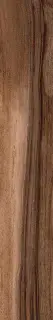 Living Noce |7.5x45