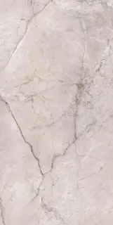 Marble Dragon Grey Silk 60x120