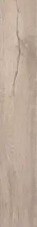 Roots Taupe 20x120