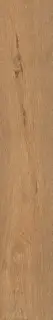 Roots Gold 20x120