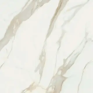 Calacata Gold  Compacglass 120x120 Rec.