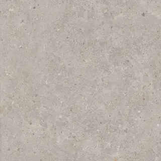 Риккарди серый светлый матовый обрезной 60x60