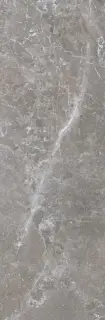 Pietra Antica Grigio XX 33.3x100