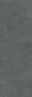 Slate Amazzonia 2+ Mm 100x300