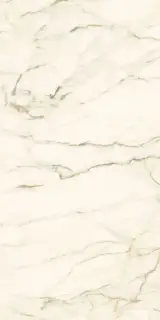 Calacatta Macchia Vecchia Luc |60x120