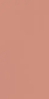 Brick Matt 60x120
