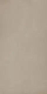 Industrial Taupe Soft 60x120